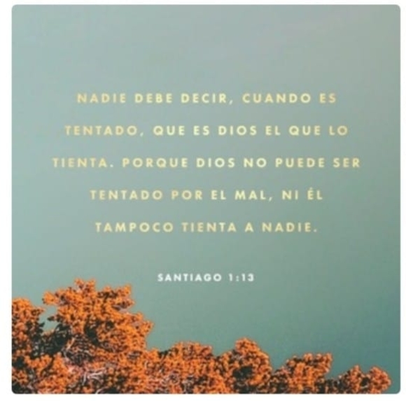 Meet your Posher, Las delicias - Picture 1 of 1